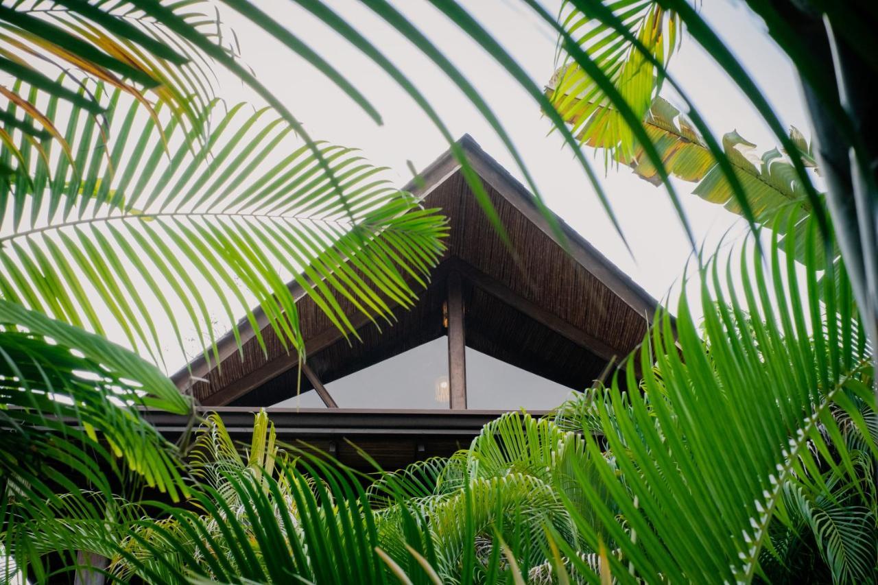 Lua Villas Playa Santa Teresa  ภายนอก รูปภาพ